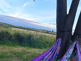 Relaxing in hammock looking at the cows