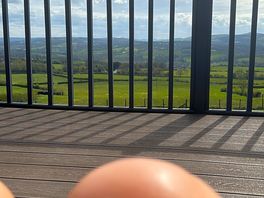 Views from the pod
