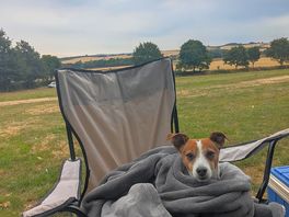 Cozy poppy.