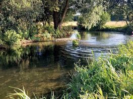 River frome