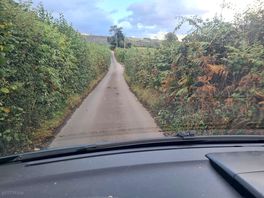 Road in