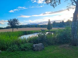 Pond on the site