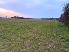 Will camping field