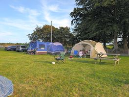 Lovely sized pitch