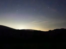 Evening stars