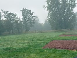 Culley’s meadow