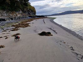 Walkies