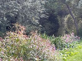 Banks of the river cam
