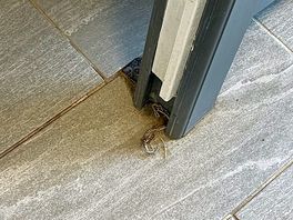 God knows what that is on the floor or how long it’s been there?