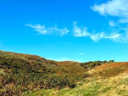 Culley’s meadow