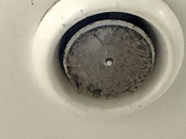 Filter above shower - filthy