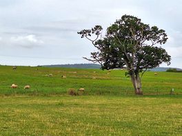 Lovely view from our campervan