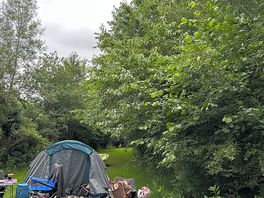 Woodland area