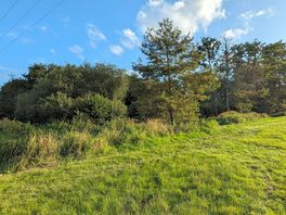View towards stream
