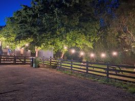 Garden at night