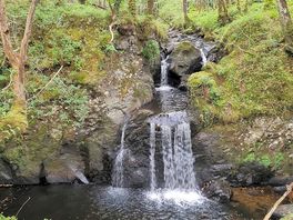 Woodland falls