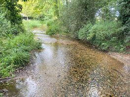 Country walk