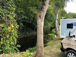 Site