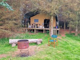 Firepit and tent