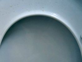 Loo