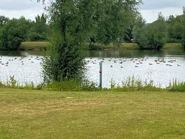 Lovely and calm