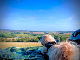 What a view.........