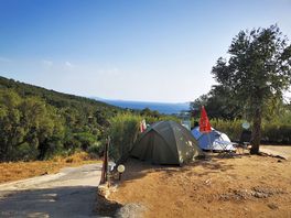 Privileged viewpoint
