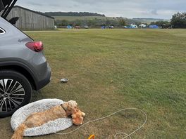 Spacious field