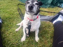 Hard day camping