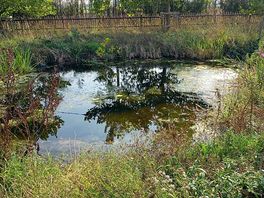 Little pond surrounded by little paths