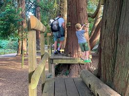 Low ropes