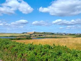 The site from the coast path