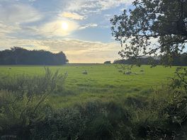 View from field