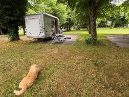 Heerlijke plaats op de camping