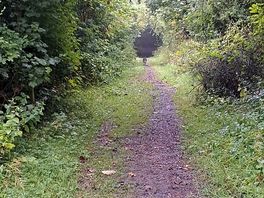 Nearby walk.