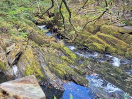 Waterfall trail