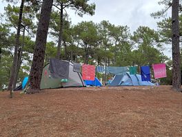 Camp