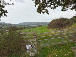 Another view from site