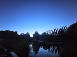 Dusk