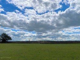 Field- campsite