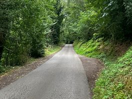 Another hill down to woods