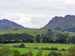 View of the roaches