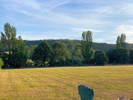 The view