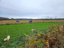 Off lead dog walking area
