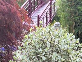 Iron bridge