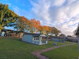 Cabins and surrounding area.