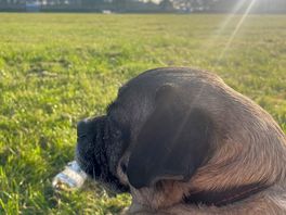 Enjoying the view