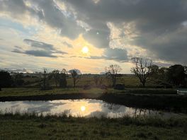 Morning sunrise