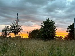 Sunset view