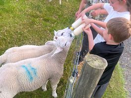 Feeding time